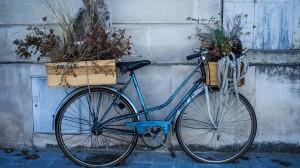 At Home in France with garden designer Paul Hervey-Brookes