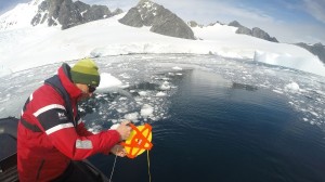 Exploring Citizen Science with Dr. Damon Stanwell-Smith, Laura Smith and Allison Cusick
