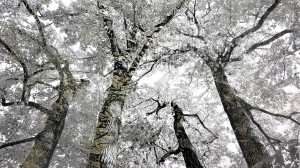 Alastair Miller in conversation with Artist Bill Claps