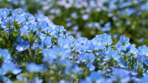 Meditation: Mindfulness with Mona Therese