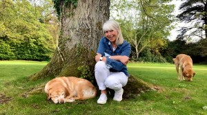 This week: Photography