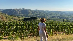 Step back in time and explore the Rhône Valley’s Roman past with Viking’s Nikolas Rabogliatti