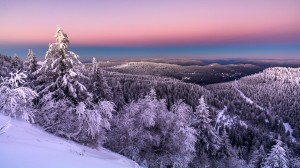 Savor regional specialities from Breisach to Basel