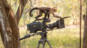Alastair Miller in conversation with wildlife cameraman Gavin Thurston