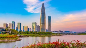 Uncover daily life in Shenzhen with local guide Dewi Klop