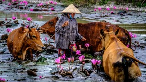 Postcards from the Mekong River with Alastair Miller