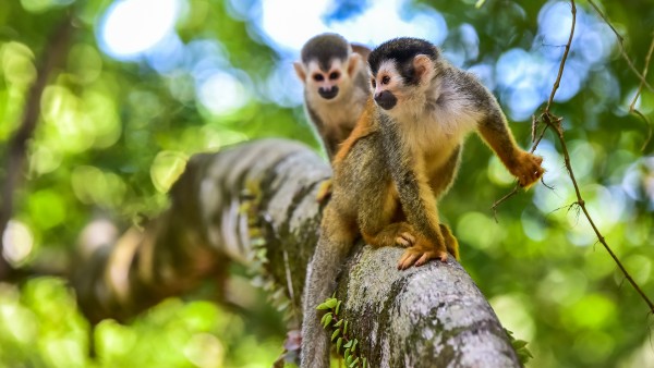 At home in Costa Rica with local guide Irene Arce Gonzalez