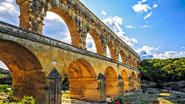 Explore the fruit of Avignon’s olive groves & vineyards