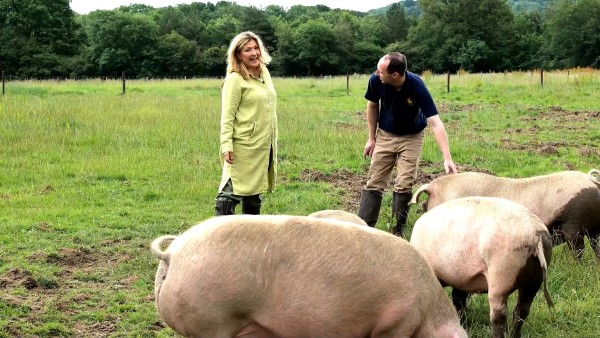 Immerse yourself in farm life at Highclere Castle with Lady Carnarvon