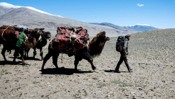 Anne Diamond interviews author Levison Wood
