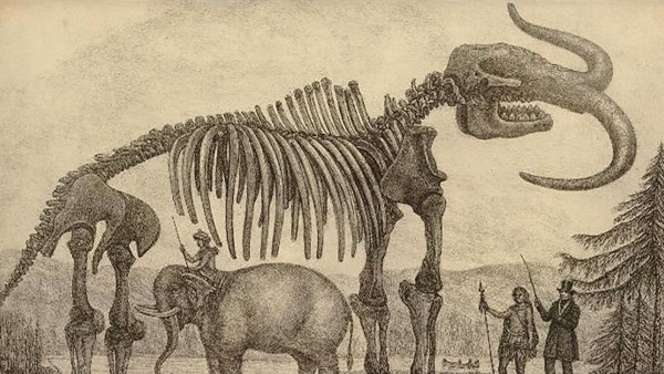 The British Museum: Examining America's Fossils with Dr. Jill Cook