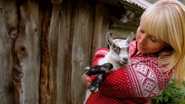 Gjetost - Norwegian Goat Cheese