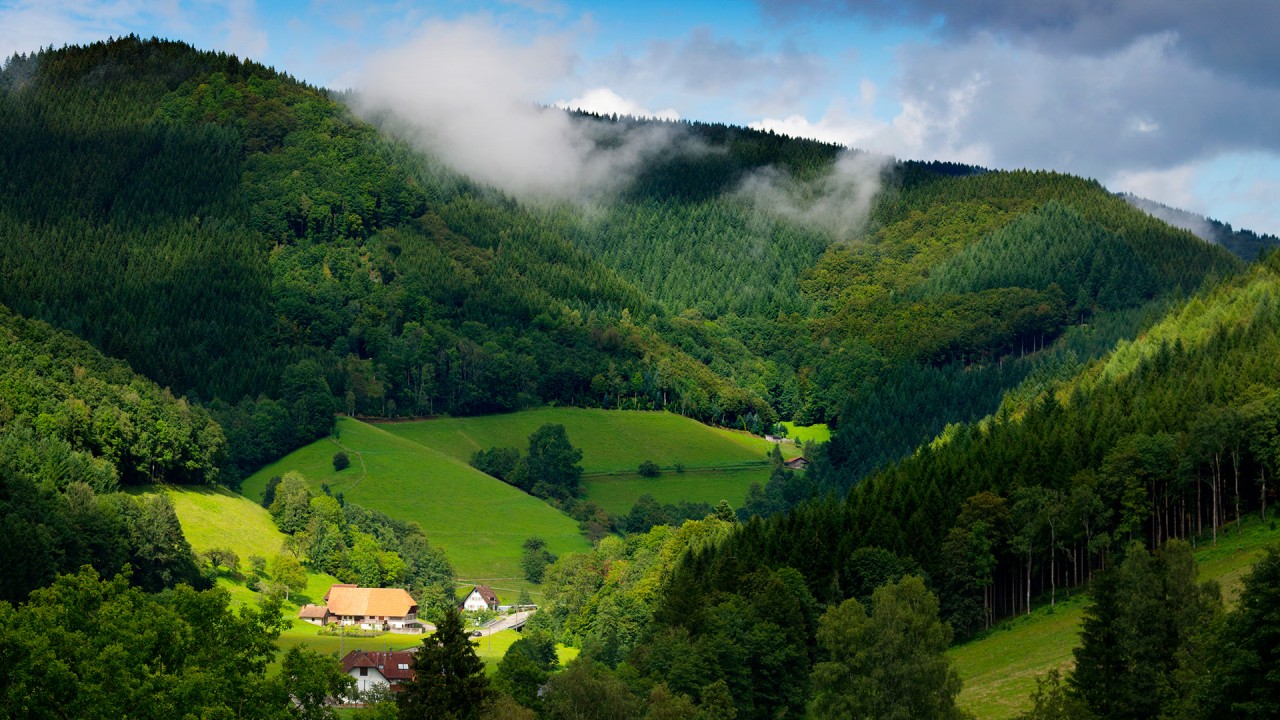Journeying to Switzerland - Black Forest to Basel and Lucerne)