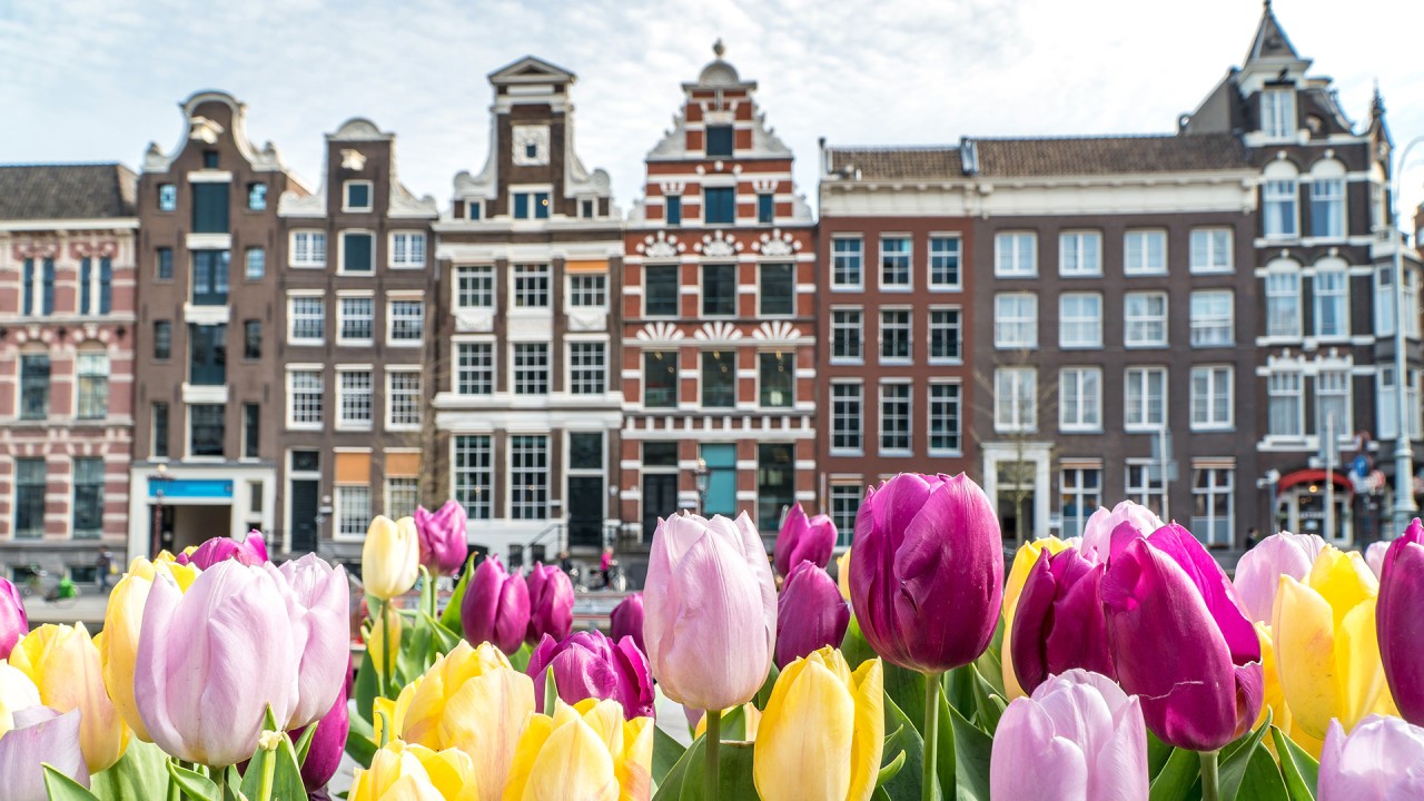 Get a glimpse into Amsterdam’s past with guest lecturer Sherry Hutt, PhD)