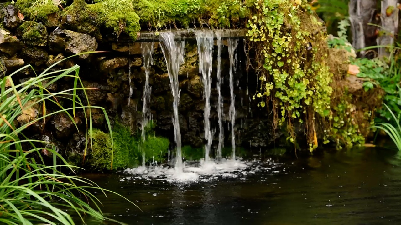 Meditation: Mindfulness with Mona Therese)