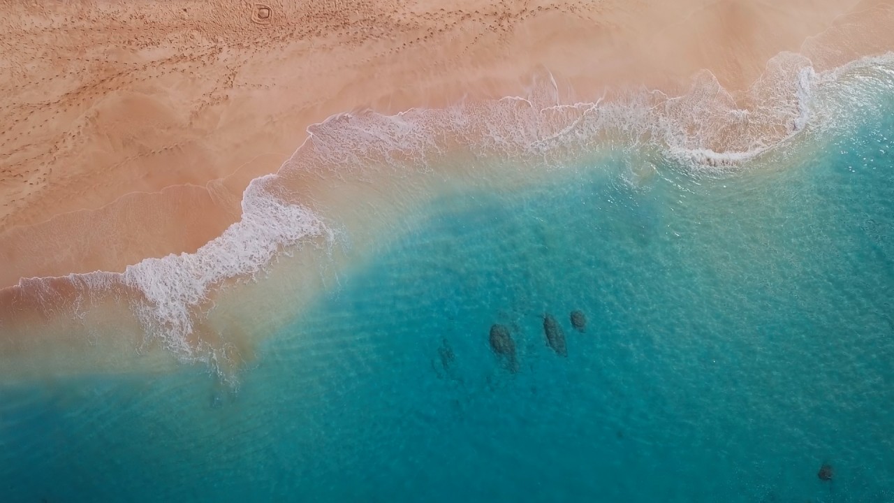 Meditation: Mindfulness with Mona Therese)