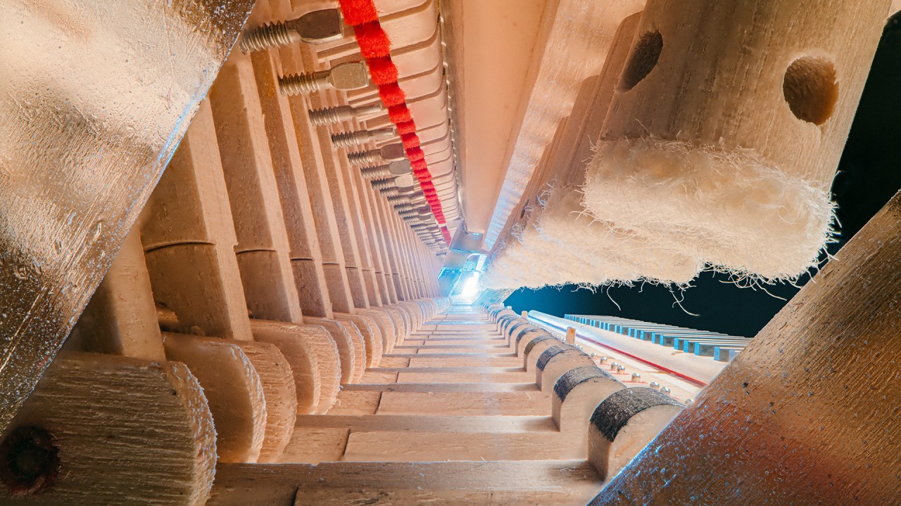 Anne Diamond learns the art of photography with Charles Brooks)