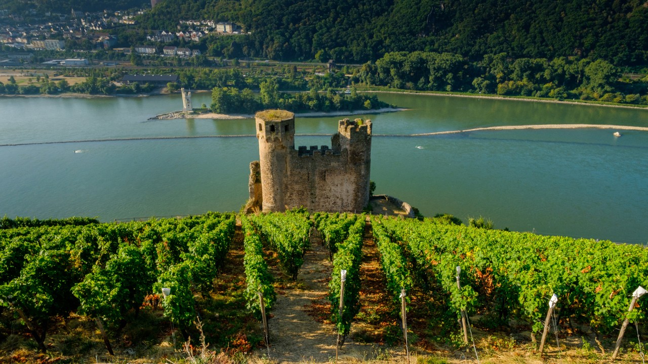 Learn about our Rhine Getaway itinerary with Karine Hagen)