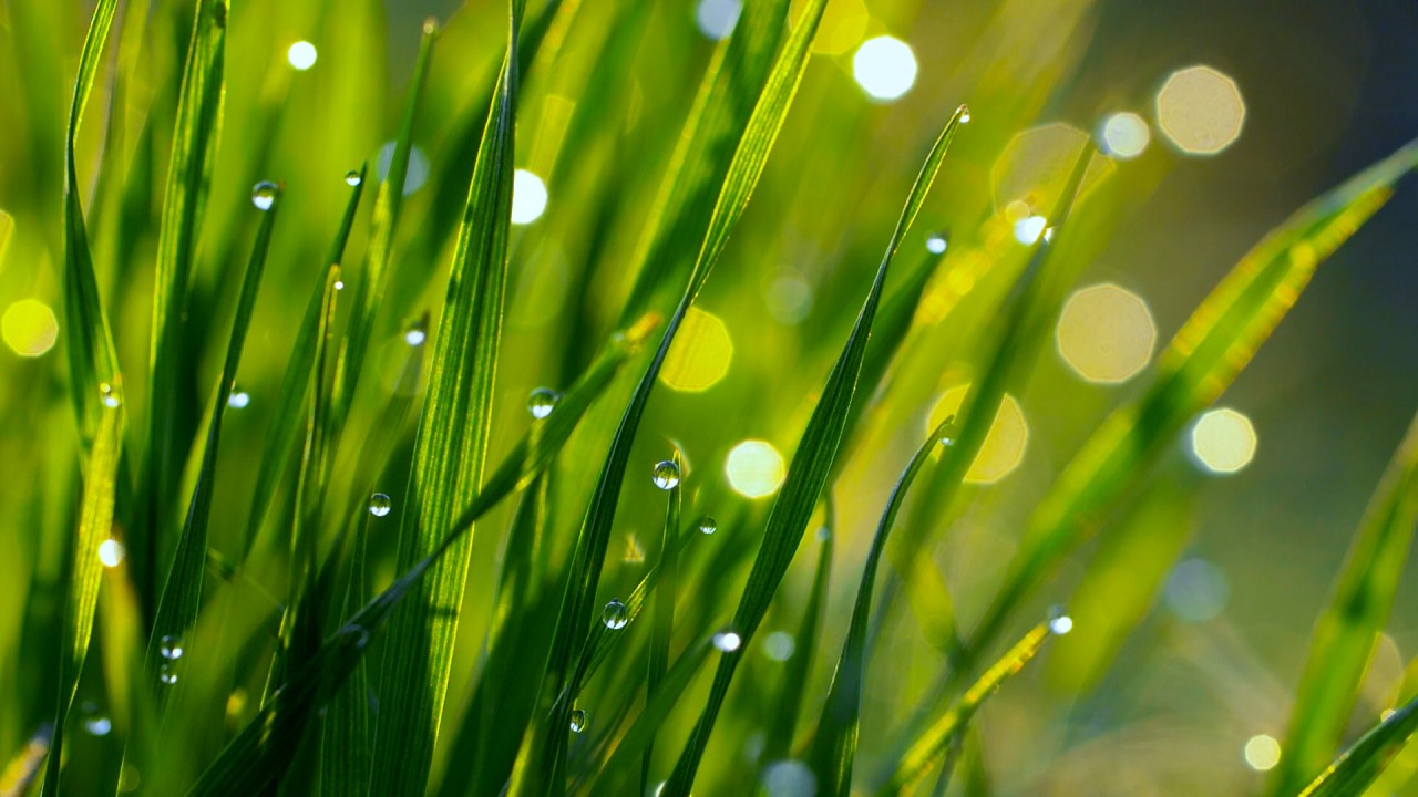 Podcast: Mindfulness with Mona Therese (Breath Awareness Meditation))