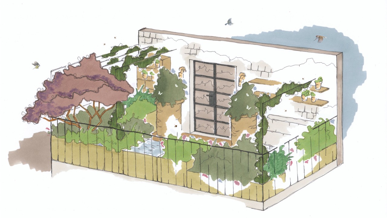 Anne Diamond interviews garden designer Christina Cobb)