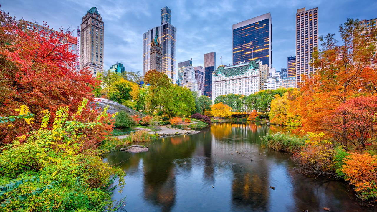 Explore hidden gems in New York with journalist Laura Begley Bloom)