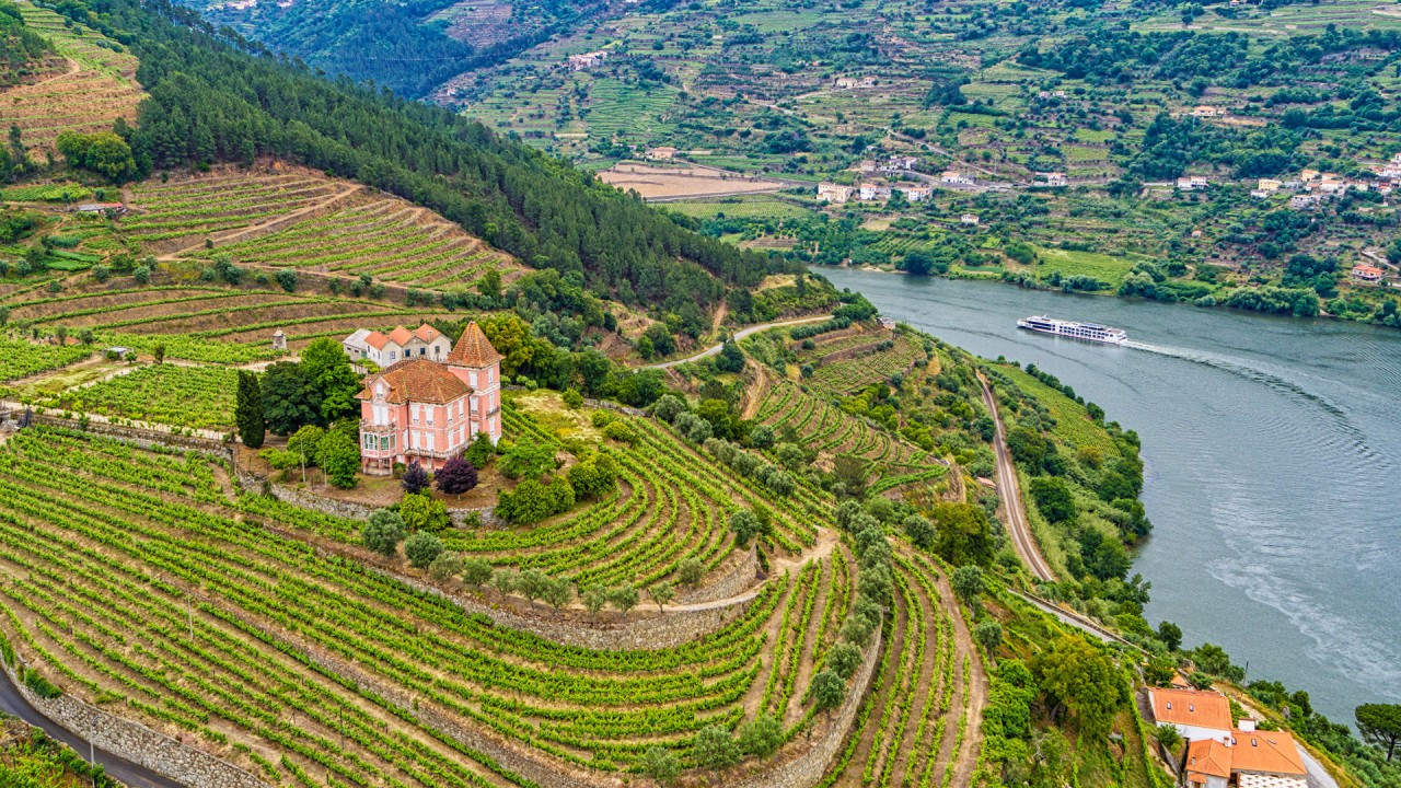 Explore the Douro Wine-Making Region
