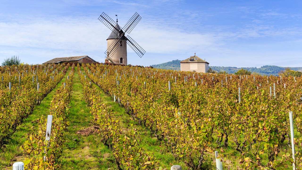 Travel to the heart of Beaujolais with Jean Newman-Glock)