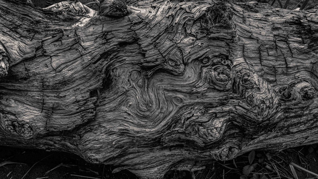 Yoga Nidra (Good Night))