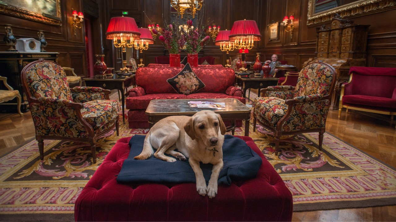 Austria's Legendary Hotel Sacher and Torte)